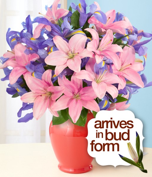 Deluxe Truly Spectacular - Flowers